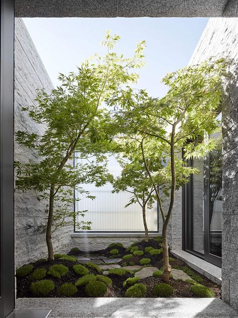 Get the Look: Raw Aesthetic Japanese Courtyard, Natural Stone Bathroom, Indoor Courtyard, Courtyard Landscaping, Courtyard Design, Japanese Garden Design, Internal Courtyard, Melbourne House, Patio Interior