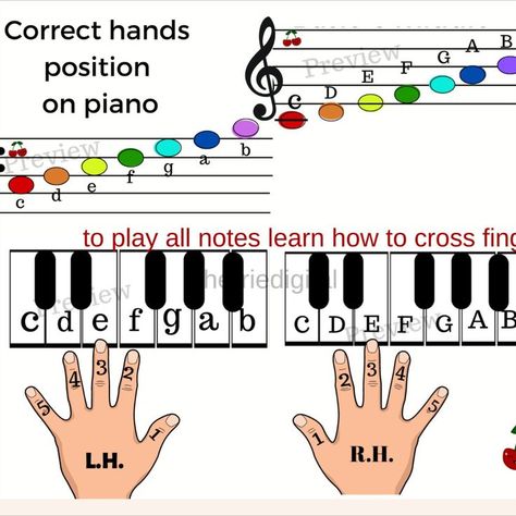 Instant download Printables Gift for beginning piano student piano teacher Violin Tutorial, Beginning Piano, Music Education Lessons, Piano Songs For Beginners, Keyboard Sheet Music, Piano Lessons For Kids, Beginner Piano Music, Piano Music Easy, Piano Chords Chart