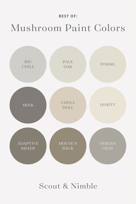 Big Chill | Pale Oak | Fossil | Mink | China Doll | Dimity | Adaptive Shade | Mouse’s Back | Dorian Gray Best Blue Paint Colors, Color Vison, Gray Paint Colors, Black Paint Color, Mushroom Paint, Best White Paint, Charming Kitchen, Best Paint, Gray Paint