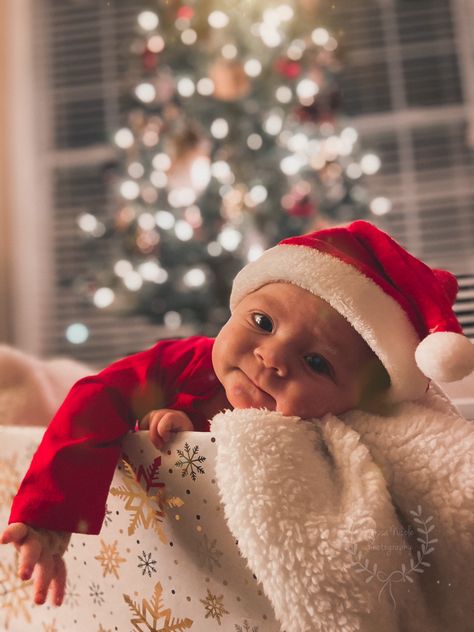 Under The Christmas Tree Photography, 2 Month Baby Picture Ideas December, 3 Months Christmas Pictures, Cute Baby Christmas Photos, 2 Month Baby Christmas Picture Ideas, Two Month Old Christmas Pictures, Christmas Baby Photoshoot At Home, Christmas 4 Month Old Pictures, Diy Christmas Cards Photo