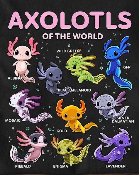 Cute Axolotl Drawings Kawaii, Types Of Axolotls, Axolotl Dnd Character, Cute Drawings Axolotl, Axolotl Character Design Human, Minecraft Axolotl Drawing, How To Draw An Axolotl, Lavender Axolotl, Oc Species Ideas