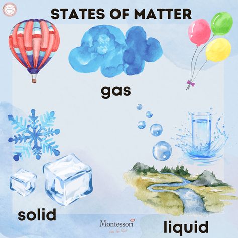 Changes Of State Of Matter, Solid Liquid Gas Activities Preschool, Solid Liquid Gas Project, Solid Liquid Gas Activities, Experiment For Preschoolers, 3 States Of Matter, Matter For Kids, Balloon Science Experiments, What Is Matter