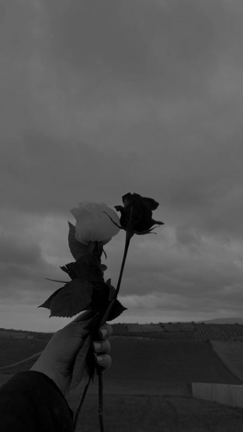 White Roses Aesthetic Dark, White Roses Wallpaper, Mad Photography, Black Roses Wallpaper, Black And White Roses, Aesthetic Roses, Dark Flowers, Black Roses, Nothing But Flowers