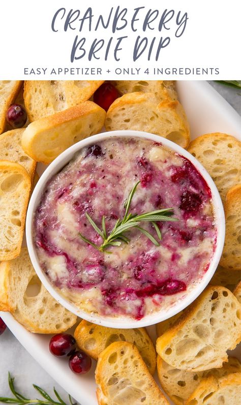 Baked Cranberry Brie Recipes, Cranberry Rosemary Baked Brie, Hot Brie Dip, Cranberry Brie Dip Crockpot, Brie Cranberry Dip, Whipped Brie With Cranberry, Holiday Dips And Spreads, Baked Brie Cranberry Appetizer, Brie And Raspberry Appetizer