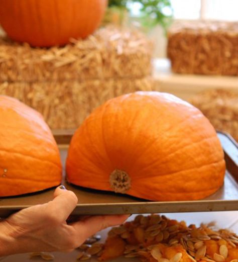 Pumpkin Pie Made With Real Pumpkin, How To Use Real Pumpkin For Pie, Pie Crust For Pumpkin Pie, Pumpkin Pie Made From Real Pumpkin, How To Make Pumpkin Pie Crust, Homemade Pumpkin Pie With Fresh Pumpkin, Pie Pumpkin Puree, How To Bake With Real Pumpkin, Pumpkin Pie Filling Recipe From Scratch