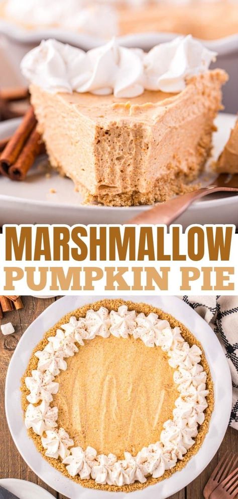 Marshmallow Pumpkin Pie is a delicious no bake pumpkin pie recipe with a graham crust and a filling made from marshmallow fluff, pumpkin puree and Cool Whip. Pumpkin Ruffled Milk Pie, No Bake Marshmallow Pumpkin Pie, Easy Pumpkin Pie Recipe 2 Ingredients, Marshmallow Fluff Recipes Desserts, Pudding Pumpkin Pie, No Bake Pumpkin Pie Recipe, Recipes Using Marshmallows, Marshmallow Pumpkin Pie, Marshmallow Fluff Recipes