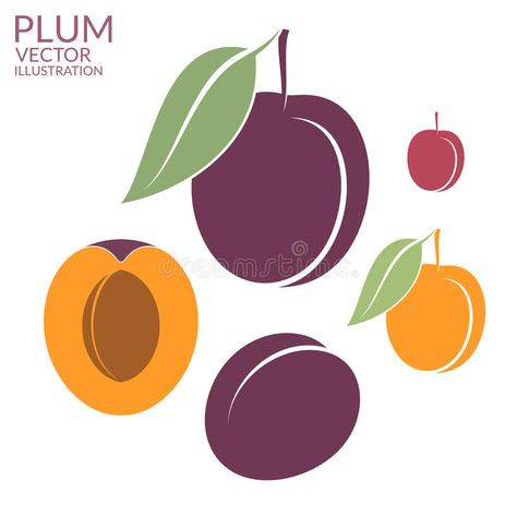 Plum. Set stock illustration Plum Illustration, Farm Logo, Kids Game, Blossoms Art, Love Art, Games For Kids, Easy Drawings, Plum, Stock Illustration