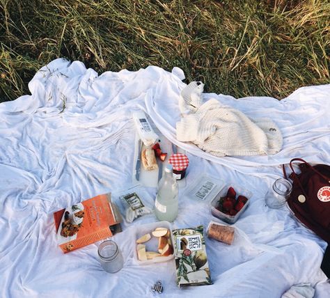 love Pink Picnic Aesthetic, Pink Picnic, Picnic Aesthetic, Picnic Date, Picnic Mat, A Picnic, 3d Flowers, Oui Oui, A Blanket