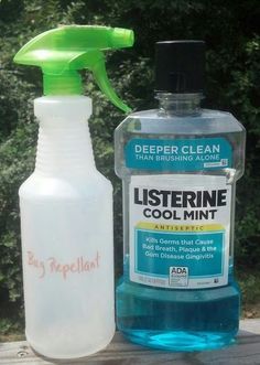 Has anyone tried this? Mosquito Spray. Pinner says: I was at a deck party awhile back, and the bugs were having a ball biting everyone. A man at the party sprayed the lawn and deck floor with Listerine, and the little demons disappeared. The next year I filled a 4-ounce spray bottle and used it around my seat whenever I saw mosquitoes. And voila! That worked as well! Planter Gardens, Listerine Cool Mint, Nyttige Tips, Mosquito Spray, Fly Repellant, Fishing Kit, Natural Pest Control, Bug Repellent, Remodeled Campers