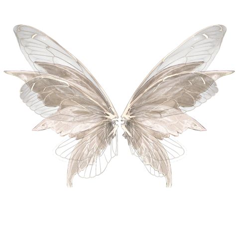 Wings Png, Wings Butterfly, Wing Tattoo, Picsart Photo, Fairy Wings, Cream Beige, Butterfly Art, White Aesthetic, Butterfly Wings