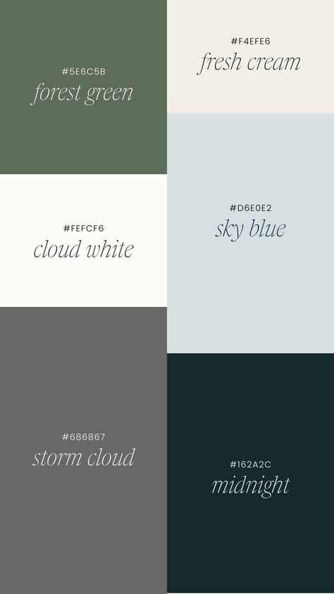 Showit Color Palette, Boho Style Color Palette, Colors Aesthetic Palette, Colors That Work Well Together, Color Palette Portfolio, Modern Palette Color, Industrial Design Color Palette, Photographer Color Palette, Modern Logo Color Palette