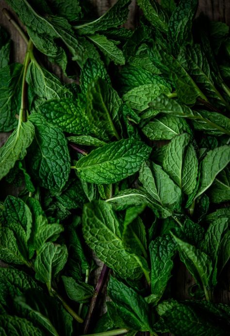 Mint Julep Recipe Disneyland, Mint Julep Recipe Kentucky Derby, Herbs Aesthetic, Lemon Simple Syrup, Refreshing Aesthetic, Mint Photography, Pepper Mint, Lavender Cocktail, Ingredients Photography