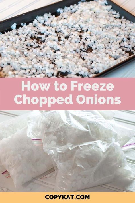 Freeze Onions, Freezing Onions, Freezing Food Guide, Freezing Food Storage, Freezing Vegetables, Freezing Fruit, Freezable Meals, Freezer Meal Planning, Canned Food Storage