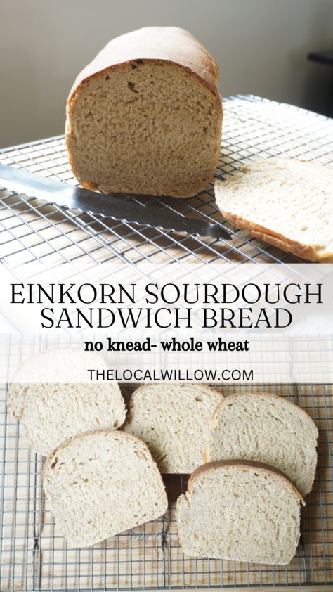 einkorn sourdough sandwich loaf sliced Einkorn Sourdough Discard Bread, Einkorn Sandwich Bread Recipe, Einkorn Sourdough Bread Recipe, Whole Wheat Einkorn Bread, Eikhorn Flour Sourdough, Sourdough Einkorn Bread, Einkorn Sourdough Sandwich Bread, Einkorn Discard Recipes, Sourdough Einkorn Recipes