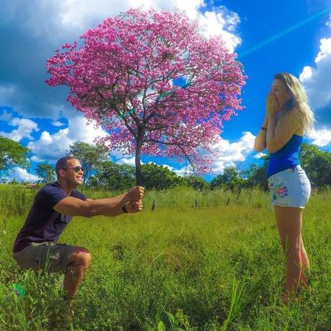 38 Fun Pics For Your Friday Photo Orgy - Wow Gallery Flowers Photoshoot, Illusion Photography, Bff Poses, Forced Perspective, Perspective Photography, Traveling Abroad, Photography Flowers, Foto Tips, Indian Photography