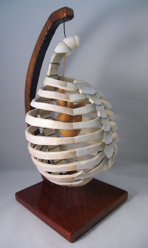 Cage by Cara Bevan Carved Gourds, Paint Pencil, Heart Beat, Clay Sculpture, Rib Cage, Gourds, A R, Bones, Baskets