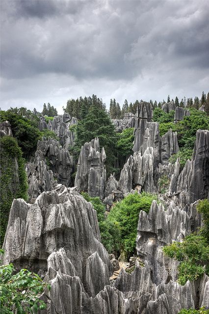 Stone Forest, Kunming, China Stone Forest, Visit China, Kunming, 16 Bit, Beautiful Dream, China Travel, The Landscape, Places Around The World, Asia Travel