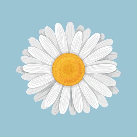 Margaritas, Daisy Flower Illustration Art, Daisy Cartoon Flower Aesthetic, Daisy Vector Illustration, Summer Flower Illustration, Flower Cartoon Aesthetic, Flowers Vector Illustration, Daisy Cartoon Flower, Digital Flowers Illustration