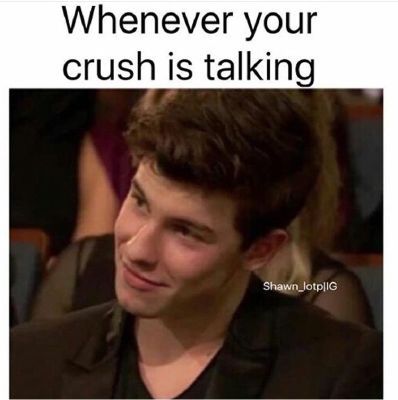 Crush | What does Shawn Mendes think of you? - Quiz Funny Crush Memes, Shawn Mendes Memes, Crush Humor, Crush Memes, Memes Humor, Top Funny, Your Crush, Fan Fiction, Crush Quotes