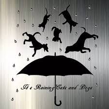 It's Raining Cats And Dogs, Cat And Dog Drawing, Dog Drawing Simple, Cloud Quotes, Raining Cats And Dogs, Watercolor Images, Watercolor Dog, It's Raining, Dog Drawing