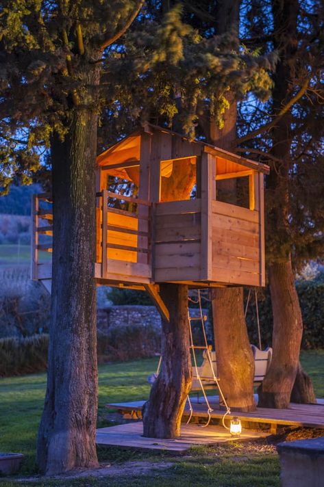 Simple Platform Treehouse, Two Tree Treehouse, Backyard Clubhouse Kids, Farm Tree House, Backyard Treehouse Diy, Cool Treehouse Ideas, Tree House Backyard, Playhouse Around Tree, Tree House On Stump