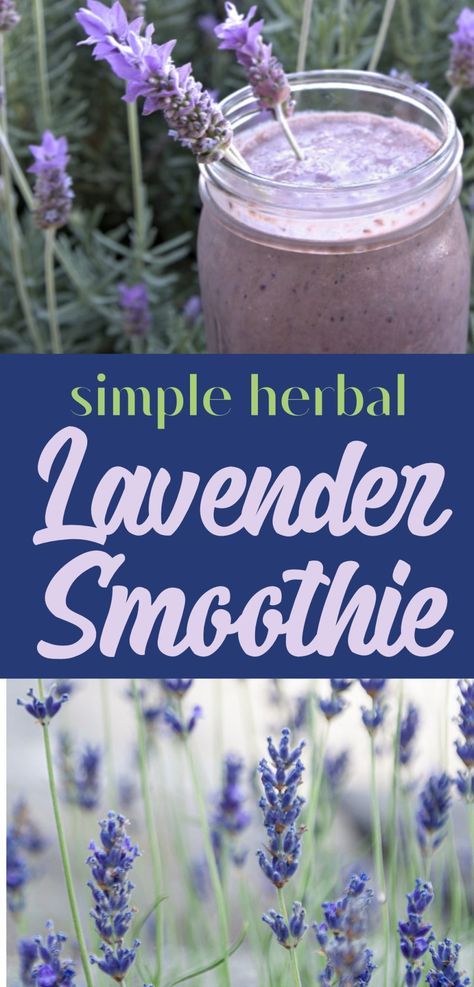 Lavender Healthy Smoothie - Golden Thyme Homestead Lavender Smoothie, Lavender Drink, Easy Healthy Smoothie Recipes, Blackberry Smoothie, Easy Healthy Smoothies, Mini Blender, Yummy Smoothie Recipes, Herb Recipes, Fruity Drinks