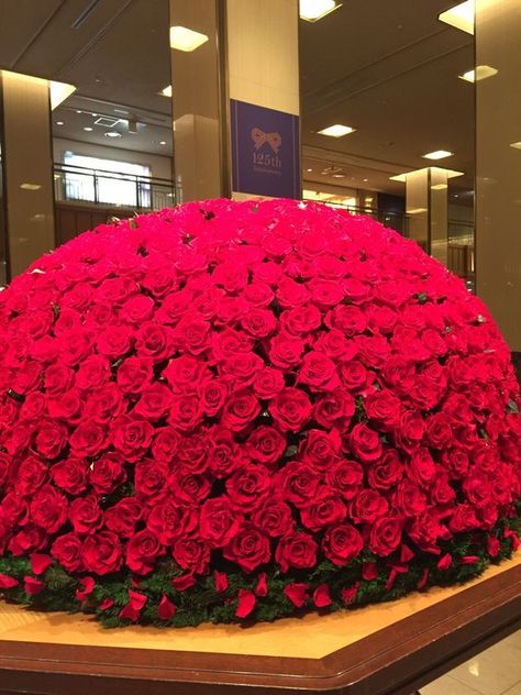 A huge bouquet with over than 1700 red roses. 8000SAR Huge Bouquet Of Roses, Huge Rose Bouquet, Huge Flower Arrangements, Huge Flower Bouquet, Huge Bouquet Of Flowers, Huge Bouquet, Big Roses, Rose Flower Arrangements, Luxury Flower Bouquets