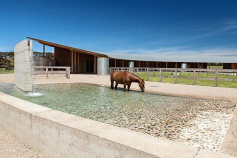 Pets Room, Feed Room, Dream Ranch, Horse Paddock, Dream Stables, Dream Horse Barns, Horse Facility, Rammed Earth Wall, Equestrian Facilities