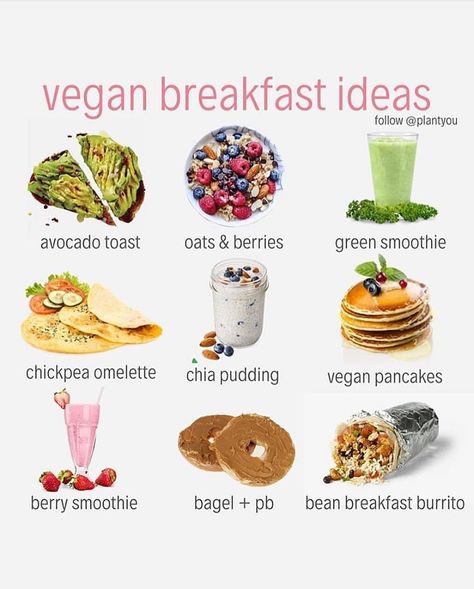 VEGAN BREAKFAST IDEAS - ▶Over 150 Delicious vegan Recipes, Plant Based Recipes for Muscle Growth, Fat Loss, and a Healthier Lifestyle & 30�… Quick Vegan Breakfast, Carleigh Bodrug, Smoothie Bowl Vegan, Vegan Breakfast Ideas, Breakfast Recipes Kids, Vegan Recipes Plant Based, Plant Based Diet Recipes, Plant Based Breakfast, Vegan Nutrition