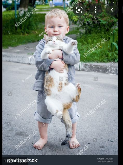 Love Foto, Art Girl Aesthetic, Child Boy, Cat Reference, Hand Reference, Baby Drawing, Human Reference, Cat Pose, Male Hands