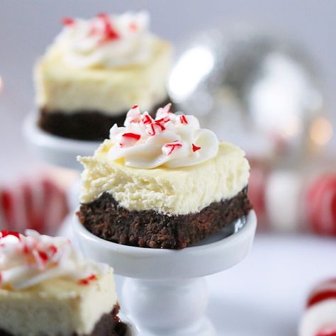 Grain-Free + Naturally Sweetened Peppermint Chocolate Cheesecake Bites Chocolate Cheesecake Bites, Peppermint Cheesecake, Peppermint Chocolate, Desserts Vegan, Cheesecake Bites, Grain Free Recipes, Dairy Free Options, Chocolate Peppermint, Chocolate Cheesecake