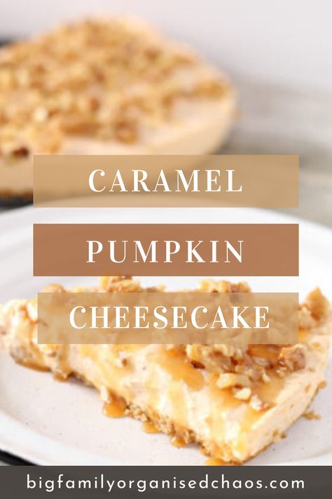 Looking for a quick and easy no bake dessert, this Caramel Pumpkin Cheesecake is the answer! With the perfect balance of pumpkin and caramel, this delicious creamy cheesecake is a taste sensation.  #bigfamilyorganisedchaos #cheesecake #pumpkin #caramel No Bake Pumpkin Caramel Cheesecake, Pumpkin Caramel Cheesecake, Caramel Pumpkin Cheesecake, Caramel Cheesecake Recipes, Cheesecake Pumpkin, Spiced Whipped Cream, Organised Chaos, Caramel Pumpkin, No Bake Pumpkin