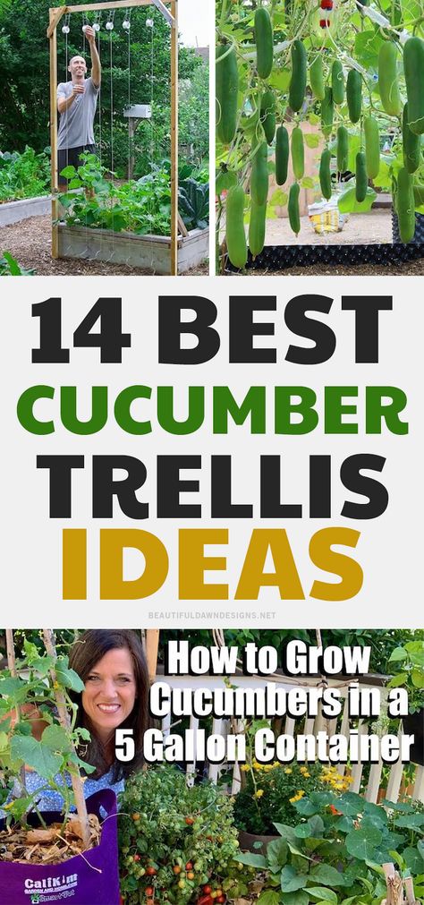 Cucumber In Garden, What To Grow With Cucumbers, Garden Trellis Ideas Diy Tomato Cages, Best Trellis For Tomatoes, Cucumbers Garden Trellis Ideas, Cucumber Fence Trellis Ideas, Grow Tomatoes Vertically, Cucumber Garden Bed, Garden Trellis Ideas Diy Cucumber