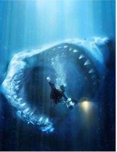 The megalodon...insane to think about. I just love sharks! And obviously shark week!! Megalodon Shark, Creepy Facts, Shark Week, White Sharks, Great White Shark, Sea Monsters, Cool Ideas, Scary Stories, Ocean Life