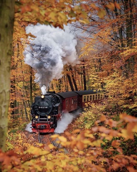 Autumn Train, Steam Trains Photography, Old Steam Train, Train Whistle, Scenic Train Rides, Steam Engine Trains, Scenic Railroads, Train Art, Train Photography