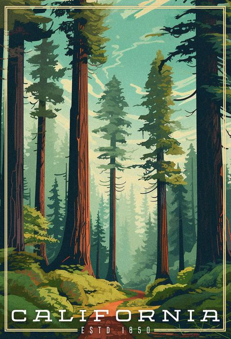 Giant redwood trees with a small trail going through them. Blue skies with just a few thin clouds. The word California is the title located in the bottom of the image Nature Poster Design Illustration, National Parks Prints, California Vintage Poster, Redwood Forest Illustration, National Parks Vintage, Vintage Landscape Illustration, Redwood Forest Art, California Poster Aesthetic, Vintage National Parks Posters