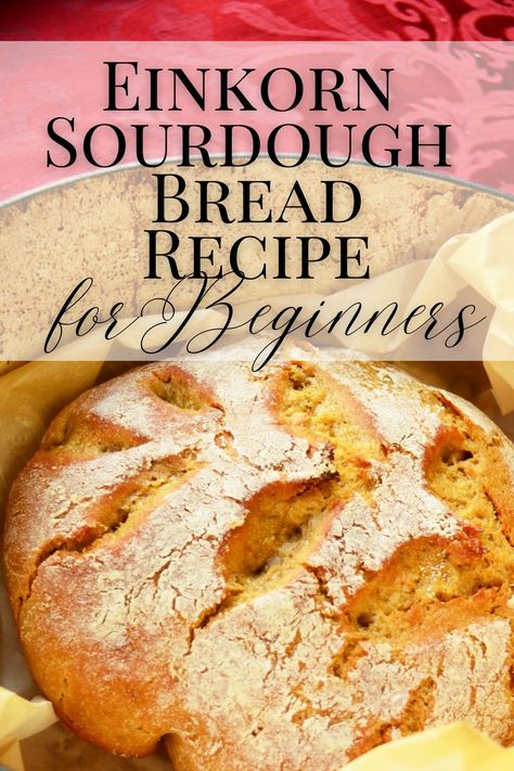 Einkorn Sourdough Bread, Healthy Bread Recipe, Sourdough Bread Machine, Einkorn Sourdough, Einkorn Bread, Beginners Bread Recipe, Easy Sourdough Bread Recipe, Fancy Kitchen, Einkorn Recipes