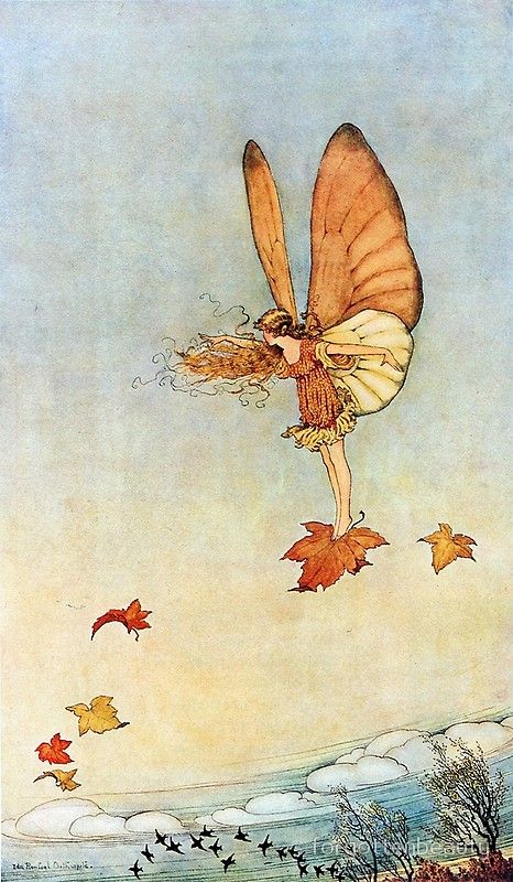 Autumn Fairy - Ida Rentoul Outhwaite #art #children #fairy Fairy Prints, Ida Rentoul Outhwaite, Fairy Illustration, Autumn Fairy, Prints Vintage, Fairies Elves, Vintage Fairies, Flower Fairies, Ink Drawings