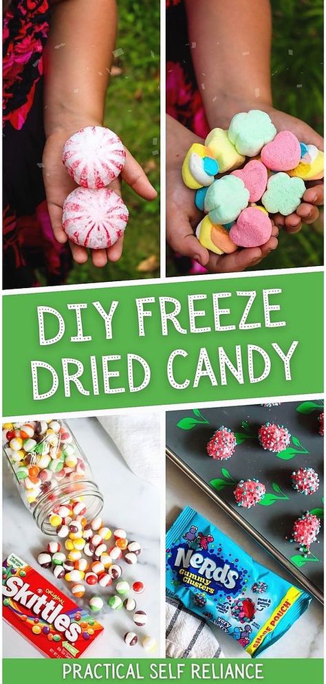 How To Dehydrate Candy, Dehydrator Candy Recipes, How Do You Freeze Dry Candy, Freeze Dried Taffy, Selling Freeze Dried Candy, Freezer Dry Candy, Dehydrating Candy, Candy To Freeze Dry, Dehydrator Candy