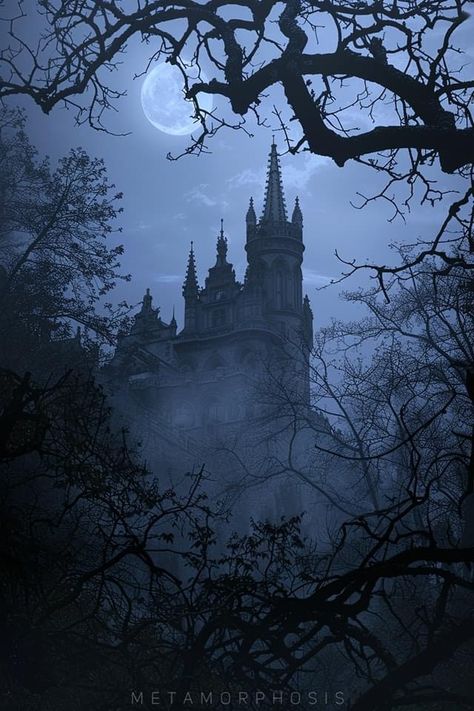 Goth Castle, Victorian Castle, Vampire Castle, Fairytale Aesthetic, Dark Castle, Dark Fairytale, Facial Recognition Technology, Gothic Castle, Castle Aesthetic