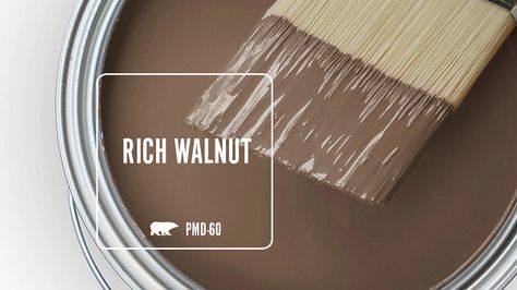 Rich Walnut PMD-60 | Behr Paint Colors Brown Bedroom Color Palette, Bear Brown Paint Colors, Brown Paint Colors Behr, Behr Dark Brown Paint Colors, Brown Behr Paint Colors, Behr Paint Colors Brown, Sherwin Williams Brown Paint Colors, Walnut Paint Color, Brown Bedroom Colors