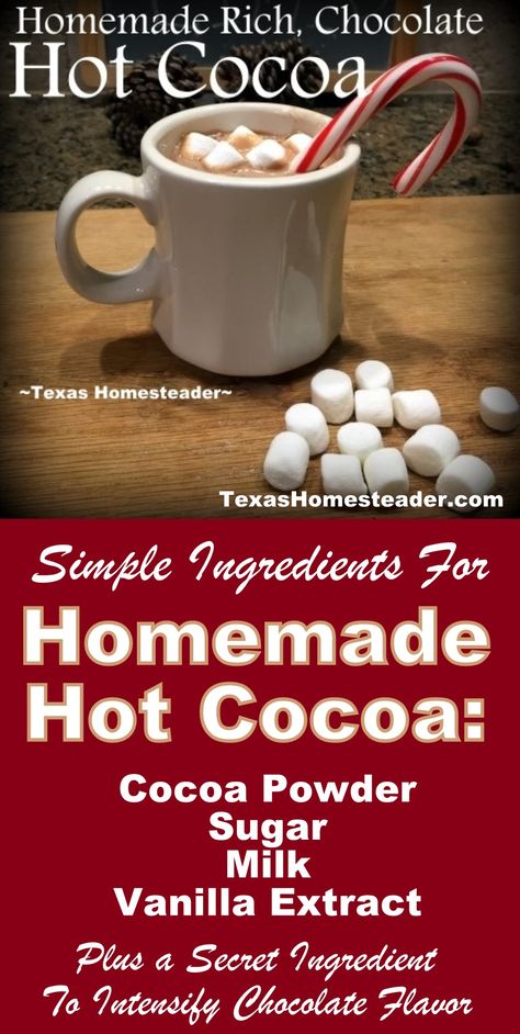 Easy Homemade Hot Cocoa Recipe. ~ Texas Homesteader ~ Hot Cocoa Recipe With Milk, Hot Cocoa With Water, Martha Stewart Hot Chocolate Recipe, Worlds Best Hot Chocolate, Make Hot Chocolate With Cocoa Powder, Organic Hot Chocolate Mix Recipe, Hot Coco With Cocoa Powder, Homemade Dark Chocolate Hot Cocoa, How To Make Homemade Hot Cocoa