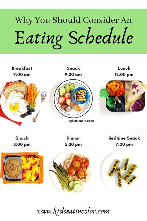 I strongly recommend that parents provide a meal schedule or routine and decide when their kids will eat. ⁠⠀ ⁠⠀ When kids eat a lot of times throughout the day, it increases their risk of cavities and can lead to them either eating too much or not enough for their body. It makes it harder for them to listen to when they are hungry and full. Eating on a schedule though, leads to better eating and less picky eating!  ⁠⠀ Want more deets about eating schedules? I wrote all about it on my blog. Healthy Daily Meals, Meal Schedule, Diet Schedule, Motivasi Diet, Eating Schedule, Picky Eating, Kids Meal Plan, Makanan Diet, How To Eat Better