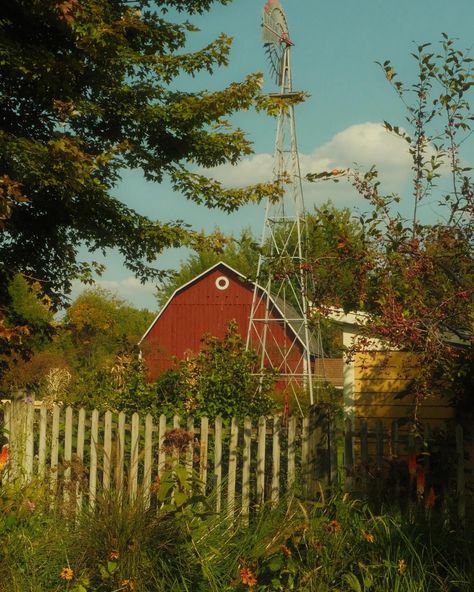 Fall at the farm Vintage Farm Photos, American Farm Aesthetic, Country Farm Aesthetic, Midwest Farm Aesthetic, Autumn Farm Aesthetic, Small Farm Aesthetic, Farm Astethic, Vintage Farm Aesthetic, Hobby Farm Aesthetic