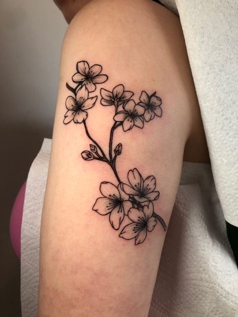 Sakura Flower Tattoo Black, Traditional Cherry Blossom Tattoo Black, Cherry Blossom Tattoo Blackwork, Cherry Blossom Tattoo On Leg, American Traditional Cherry Blossom, Red Sakura Tattoo, Cherry Blossom Tattoo Black, Traditional Cherry Blossom Tattoo, Cherry Blossom Tattoo Black And White