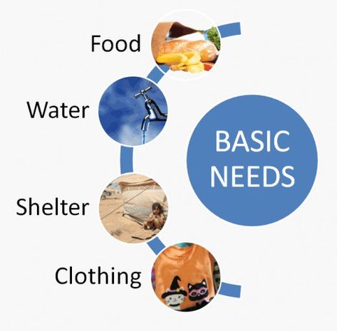 When the Line Between Basic Needs and Wants Become Blurred | HubPages Maslow’s Hierarchy Of Needs, No Credit Check Loans, Basic Necessities, Child Protective Services, Architecture Model Making, Basic Needs, Everyday Dress, College Kids, Food Clothes