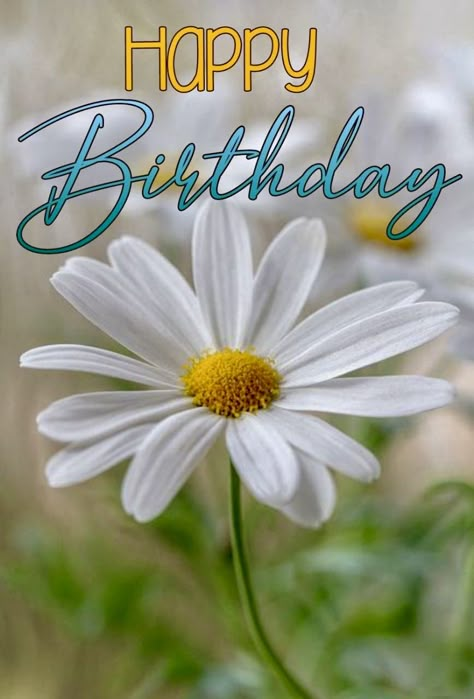 Happy Birthday Wishes Pics, Happy Birthday Free, Birthday Wishes Pics, Happy Birthday Cat, Birthday Wishes Greetings, Happy Birthday Art, Happy Birthday Greetings Friends, Happy Birthday Friend, Happy Birthday Wishes Images