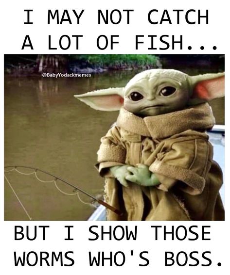 Yoda Images, Parenting Jokes, Yoda Funny, Workplace Humor, Sweet Child O' Mine, Funny Commercials, Star Wars Facts, Work Jokes, Grumpy Cat