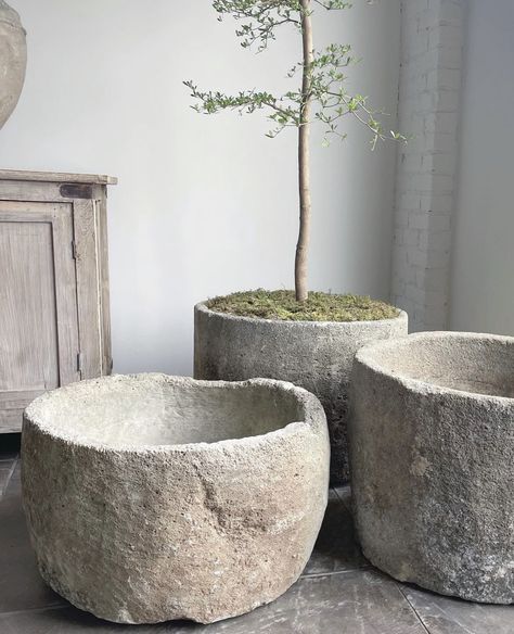 Antique Stone Sink, Stone Sinks, Stone Planters, Cement Planters, Antique Stone, Have Inspiration, Room Deco, Trendy Short Hair, Concrete Diy