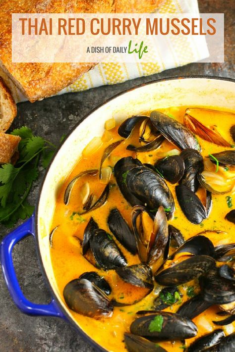 This Thai Red Curry Mussels recipe takes fresh mussels and simmers them in a fragrant coconut curry sauce, perfect for a quick and easy meal! #thairedcurrymussels #redcurrymussels #thaicurrymussels #thaicoconutcurrymussels #redthaicurrymussels #musselsinredcurrysauce #thaimussels #currymussels #musselcurry #curriedmussels #adishofdailylife #dishofdailylife Curry Cream Sauce, Red Curry Mussels, Curry Mussels Recipe, Curry Mussels, Shop Hacks, How To Cook Liver, Coconut Curry Sauce, Steamed Mussels, Mussels Recipe